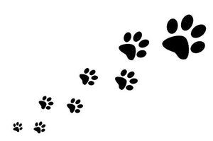 Colonia al Profumo di Talco per Cani – Aroma Fresco e Balsamo... - Ilgrandebazar