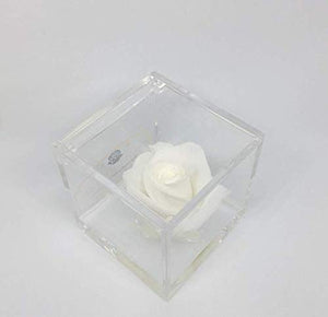 AA 1068 Cubo Rosa Stabilizzata Bianca 6cm 6x6x6 profumata, Il con una... - Ilgrandebazar