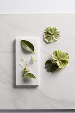 Carica l&#39;immagine nel visualizzatore di Gallery, OPI Olio per Unghie e Cuticole - 8.6 ml - Ilgrandebazar