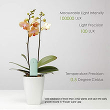 Carica l&#39;immagine nel visualizzatore di Gallery, Wanfei per Xiaomi Flower Care Soil Tester, Intelligent Plant Monitor 1 PCS