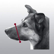Carica l'immagine nel visualizzatore di Gallery, Muso di Cane Regolabile per Dog Training Taglia 2