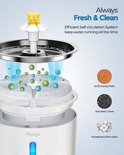 Carica l&#39;immagine nel visualizzatore di Gallery, Petiigo Fontanella per Gatti 2.4L, Silenziosa Fontana per gatti con Acciaio Inox Piatto Superiore, 3 Modes Automatico Dispenser Acqua Gatti Luce Notturna e 3 Filtri di Carbonio Attivati