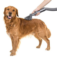 Carica l&#39;immagine nel visualizzatore di Gallery, AIEVE Spazzola per cani da sposo di ricambio Dyson V11 V10 V8...