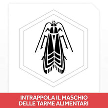 Carica l'immagine nel visualizzatore di Gallery, 2