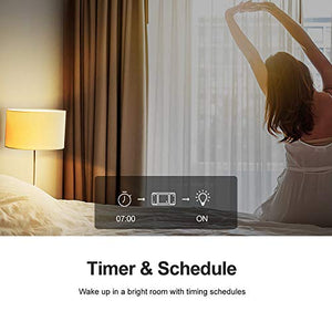 Sonoff BASICR2- Interruttore WiFi Wireless intelligente per Smart BASICR2