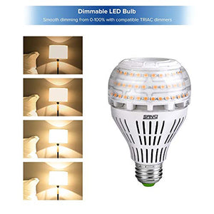 Lampadine Led E27 Luce Calda, SANSI 27W Lampadina 27W, 3000k Calda