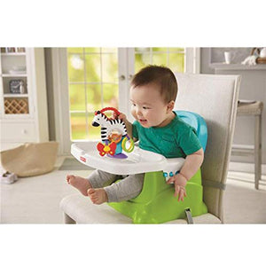 Fisher Price FGJ11 - Zebra Attività - Giocattolo Neonato