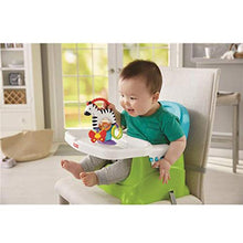Carica l&#39;immagine nel visualizzatore di Gallery, Fisher Price FGJ11 - Zebra Attività - Giocattolo Neonato