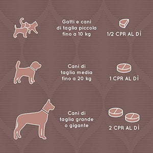 SUPP4PETS GROWY Supporto per Crescita e Sviluppo | Per Cani e Gatti 100cpr...
