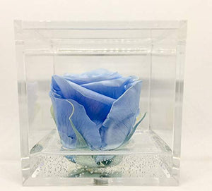 Cubo Rosa stabilizzata azzurra 8cm, profumata è una vera e propria che... - Ilgrandebazar