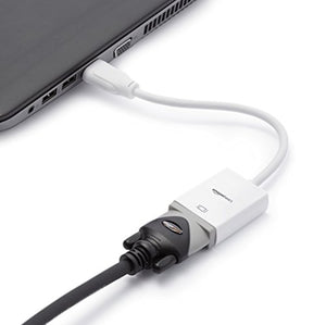 AmazonBasics - Adattatore da DisplayPort a VGA - Ilgrandebazar