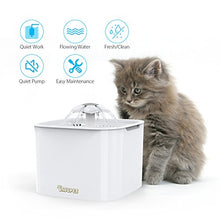 Carica l&#39;immagine nel visualizzatore di Gallery, DADYPET Fontanella per Gatti, Fontana Distributore di Acqua per...