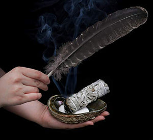 Sage Smudge Kit – Bastoncini di Salvia Bianca ~ Abalone Shell 12,5-15,2 cm ~...