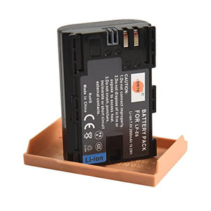 LP-E6 DSTE - Batteria di ricambio (2 pezzi) e rapida LCD Dual Charger...