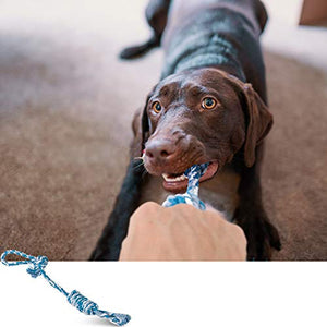 ZIIDOO Set di Giocattoli per Cani, Corda da Masticare, Frisbee, Palla che... - Ilgrandebazar