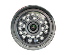 Carica l&#39;immagine nel visualizzatore di Gallery, Sinis 1080P Hybrid CCTV Gray Bullet Camera da 2 Mega pixel, TVI/CVI/AHD/CVBS...