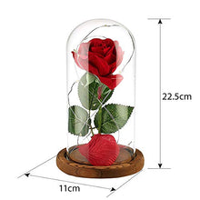 Carica l'immagine nel visualizzatore di Gallery, Anaoo Rose La Bella e la Bestia in Cupola Vetro Regalo per Senza Telecomando - Ilgrandebazar