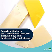 Carica l&#39;immagine nel visualizzatore di Gallery, pest24 Insetticida moscerini Piante Interno Adesivi Gialli 10 Trappole - Carta moschicida - Moscerini Trappola casa - Anti cimici - Moscerini in casa