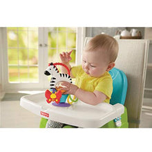 Carica l&#39;immagine nel visualizzatore di Gallery, Fisher Price FGJ11 - Zebra Attività - Giocattolo Neonato