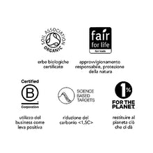 Carica l&#39;immagine nel visualizzatore di Gallery, Pukka | Calendario dell&#39;Avvento con tisane biologiche | 24 bustine | Ecologico | Senza cioccolato | Senza lattosio