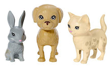 Carica l&#39;immagine nel visualizzatore di Gallery, Barbie Cambia, Playset con Bambola e Due Cuccioli Che Cambiano Colore con... - Ilgrandebazar