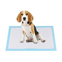 Carica l'immagine nel visualizzatore di Gallery, RCruning-EU Tappetini igienici assorbenti per Animali Domestici 33 x S-100 pz - Ilgrandebazar