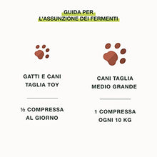 Carica l'immagine nel visualizzatore di Gallery, 2