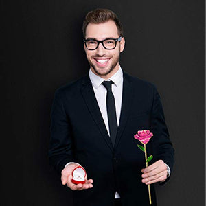FORGIFTING Fiore di Vera Rosa Placcata con Oro 24K, Rose Conservate - Ilgrandebazar