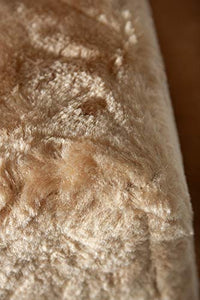 Karlie 34570 Scalini per Cani, 41 X 30 X 42 Cm, Beige - Ilgrandebazar