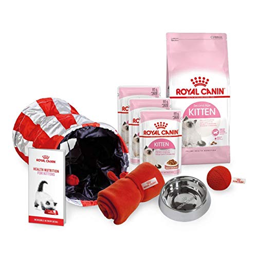 Starter Pack Royal Canin Kitten - Cibo secco e umido con ciotola, coperta,...