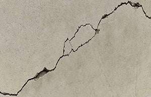 Fischer Stucco Veloce NTJH con Spatola Integrata per Coprire Fori e Crepe, Bianco, per Muro, Intonaco, Cartongesso, 552152