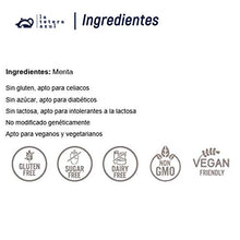 Carica l&#39;immagine nel visualizzatore di Gallery, LA TETERA AZUL Infuso alla menta Premium, puro, pulito, solo 20 piramidi