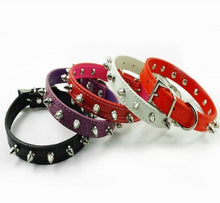 Carica l&#39;immagine nel visualizzatore di Gallery, Namsan cani Puppy Doggie gatti Pet collari di M 13--15&quot;(33--38 cm), Black