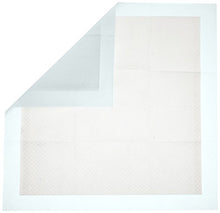 Carica l'immagine nel visualizzatore di Gallery, AmazonBasics - Tappetini igienici assorbenti per animali domestici, misura standard, 100 pz