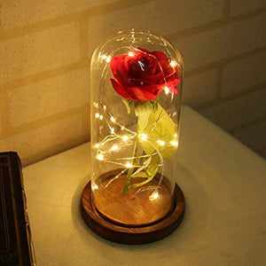 LEDMOMO Rosa di seta con luce a LED in cupola vetro su base legno la... - Ilgrandebazar