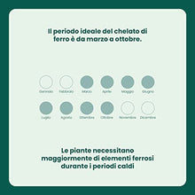 Carica l'immagine nel visualizzatore di Gallery, Il Paese Verde Drin Ferro Chelato 200g - Ferro Chelato Per Piante Contro Ingiallimenti Dovuti Alla Clorosi Ferrica. Ferro Chelato Microgranulare Consentito In Agricoltura Biologica.