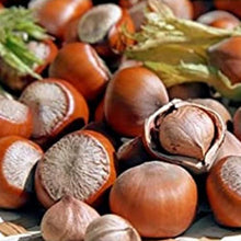 Carica l'immagine nel visualizzatore di Gallery, 3