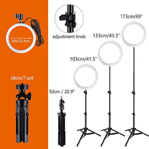 ICETEK - Luce ad anello con treppiede, 10 pollici, 3 colori di luce e 11...