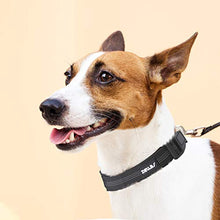 Carica l&#39;immagine nel visualizzatore di Gallery, Zellar Collare per Cani, Animale da Compagnia Domestico...