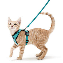 Carica l'immagine nel visualizzatore di Gallery, rabbitgoo Pettorina per Gatti con XS(Collo:22-28cm Petto:25-51cm), Verde