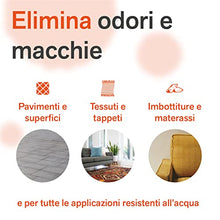 Carica l'immagine nel visualizzatore di Gallery, BactPro - BactPets elimina odori e Macchie per Cani e Gatti - Rimuove urina da Tessuti e superfici - Attivatore Biologico Professionale - Spray 750 ml