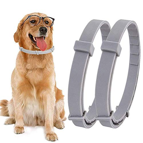 BESLIME 2Pcs Collare antipulci per Gatti, Antipulci Cane Gatto,...