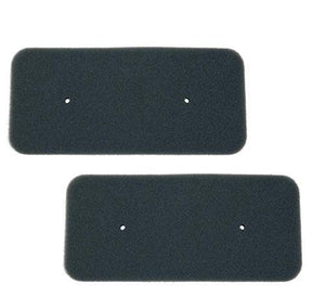 Filterwelt Set di 2 filtri Originali per Candy Hoover 40006731, per... - Ilgrandebazar