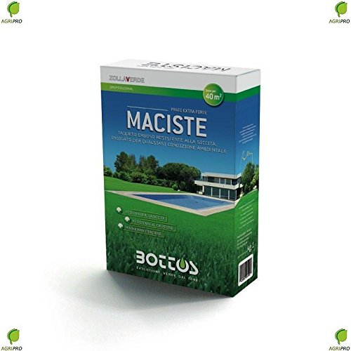 Maciste - Sementi per tappeto erboso - Ideale zone aride - 1 Kg 1 kg - Ilgrandebazar