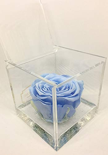 Cubo Rosa stabilizzata azzurra 8cm, profumata è una vera e propria che... - Ilgrandebazar