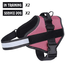 Carica l&#39;immagine nel visualizzatore di Gallery, Imbracatura per Cani Traspirante Senza M: collo 16,5 &quot;-21&quot; (42-53 cm), Rosa