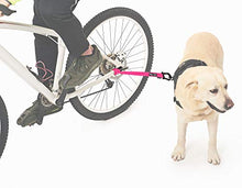 Carica l&#39;immagine nel visualizzatore di Gallery, BIKE AND DOG Cinghia, Portare Uno o Piu Cani con Una Bicicletta. (Rosa) rosa