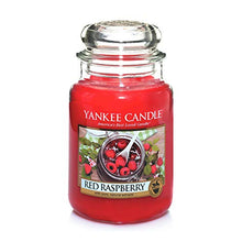 Carica l&#39;immagine nel visualizzatore di Gallery, Yankee Candle candela profumata in giara grande, Lampone rosso, durata: Large - Ilgrandebazar
