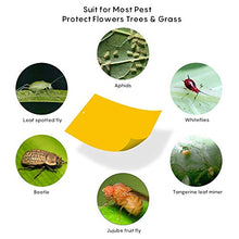 Carica l&#39;immagine nel visualizzatore di Gallery, HellDoler Trappole Appiccicose 50 Pezzi 15cm x 20cm MoscheTrappola 50PCS