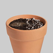 Carica l'immagine nel visualizzatore di Gallery, Perlite Giardinaggio 5L - Utilizzabile Sia Come Perlite Per Piante In Vaso, Inerti Per Piante Grasse, Perlite Per Piante Carnivore E Per Tutti I Tipi Di Terreno.